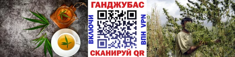 Cannafood конопля  MEGA зеркало  Багратионовск 