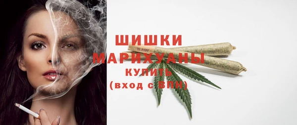 ECSTASY Пересвет