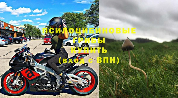 PSILOCYBIN Армянск