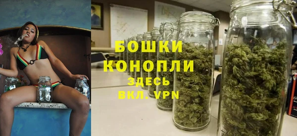 бошки Аркадак